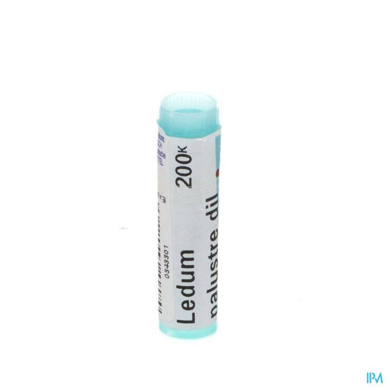 LEDUM PALUSTRE 200K GL BOIRON