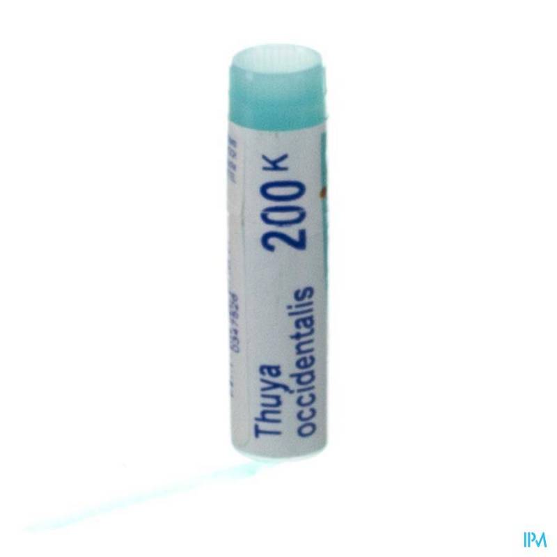 THUYA OCCIDENTALIS 200K GL BOIRON