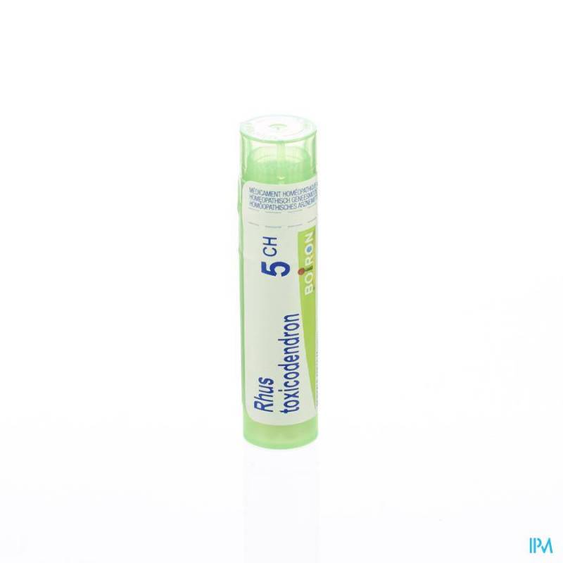 RHUS TOXICODENDRON 5CH GR 4G BOIRON
