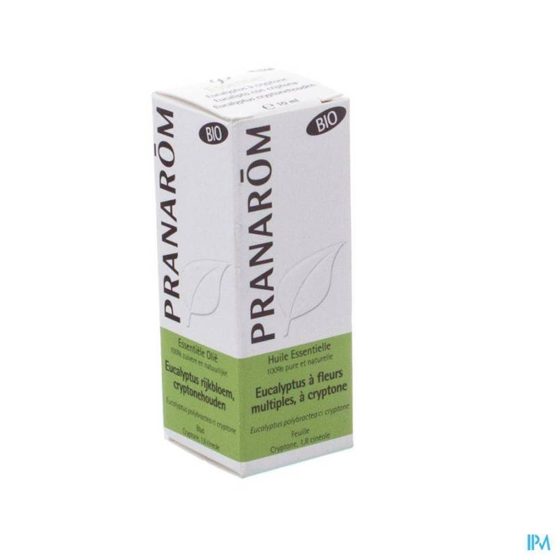 EUCALYTUS CRYPTONE BIO HLE ESS 10ML PRANAROM