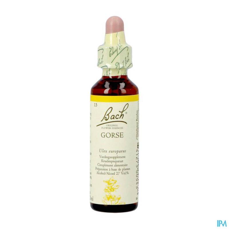 BACH FLOWER REMEDIE 13 GORSE 20ML