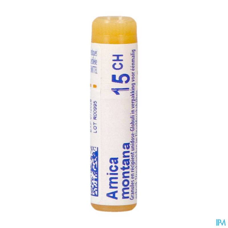 ARNICA MONTANA 15CH GL BOIRON