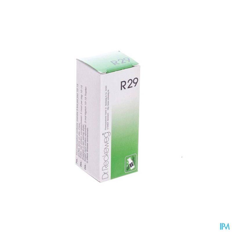 RECKEWEG DR. R29 GUTT 50ML