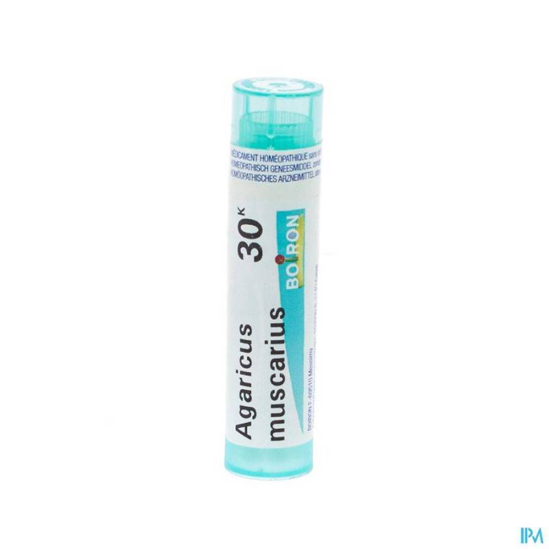 AGARICUS MUSCARIUS 30K GR 4G BOIRON