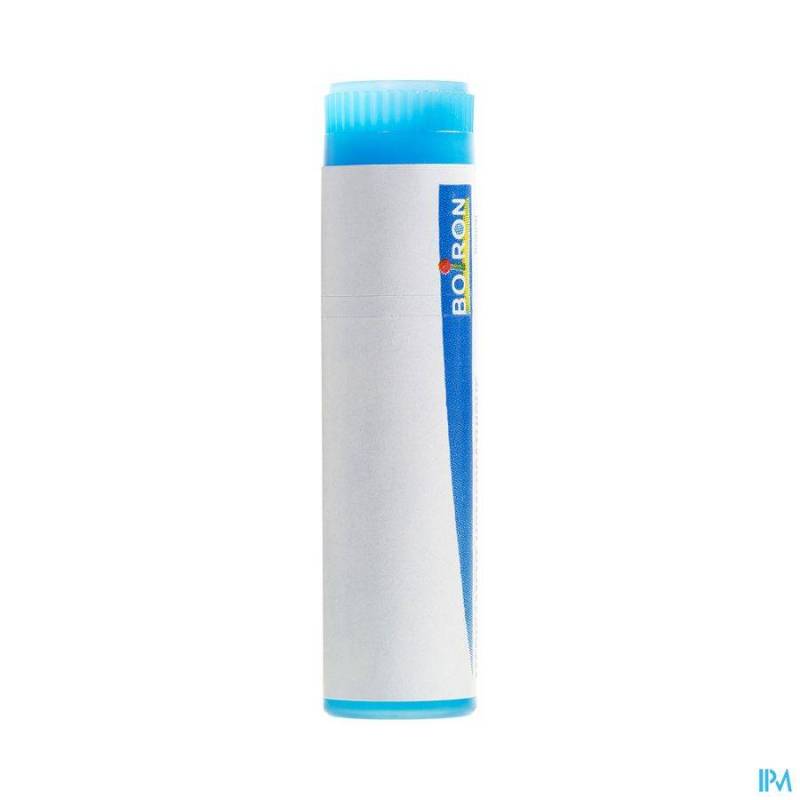 ARNICA MONTANA MK GL BOIRON