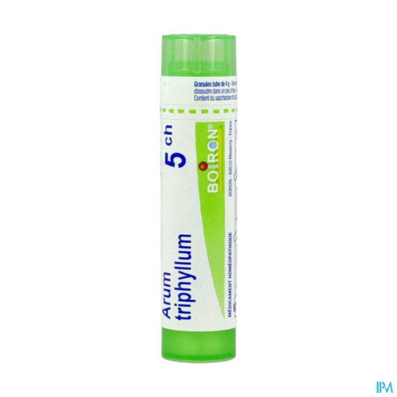 ARUM TRIPHYLLUM 5CH GR 4G BOIRON