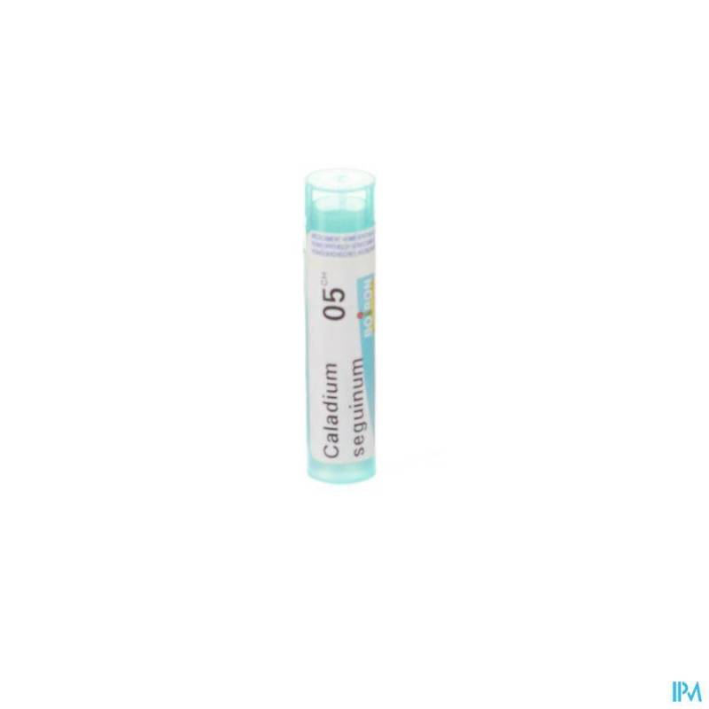 Caladium Seguinum 5ch Gr 4g Boiron