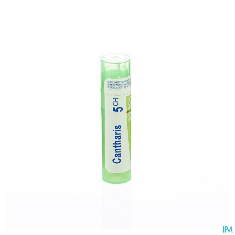 Cantharis 5ch Gr 4g Boiron