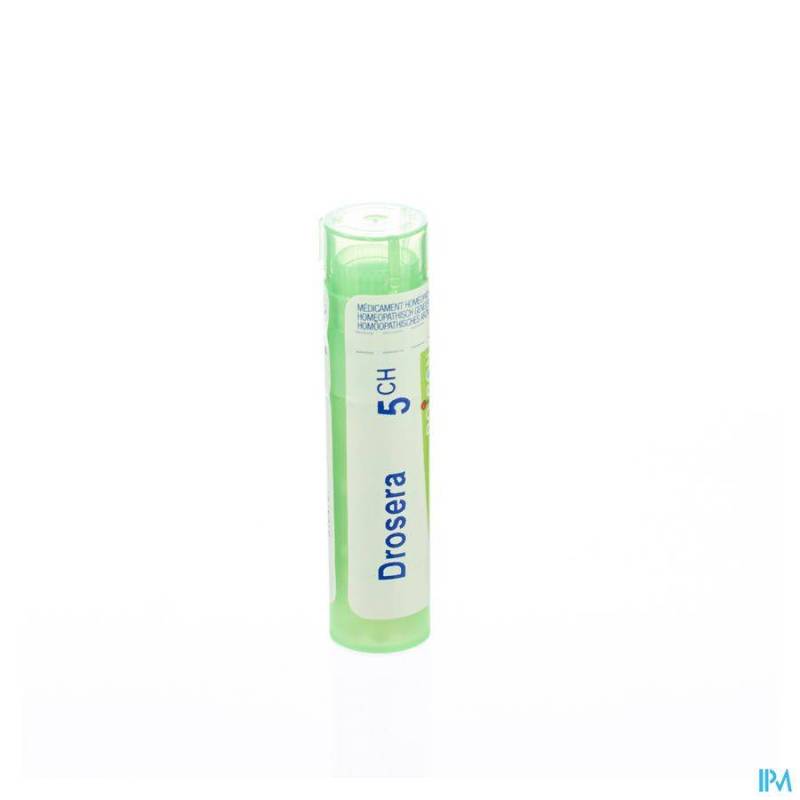 Drosera 5ch Gr 4g Boiron