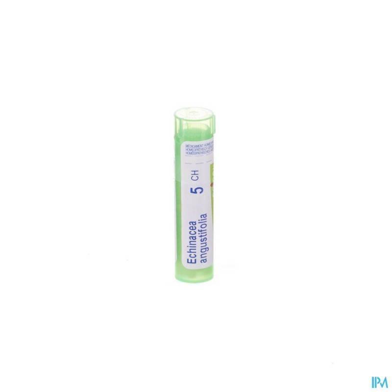 ECHINACEA ANGUSTIFOLIA 5CH GR 4G BOIRON