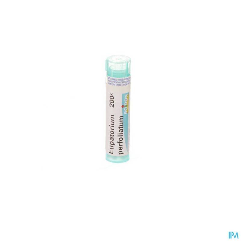 EUPATORIUM PERFOLIATUM 200K GR 4G BOIRON