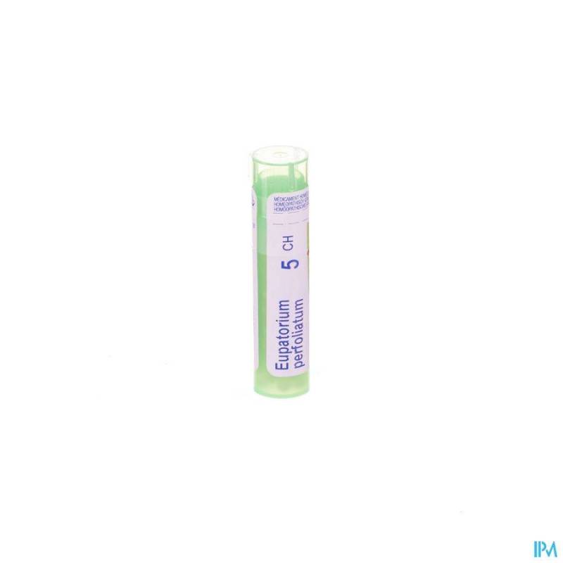 EUPATORIUM PERFOLIATUM 5CH GR 4G BOIRON