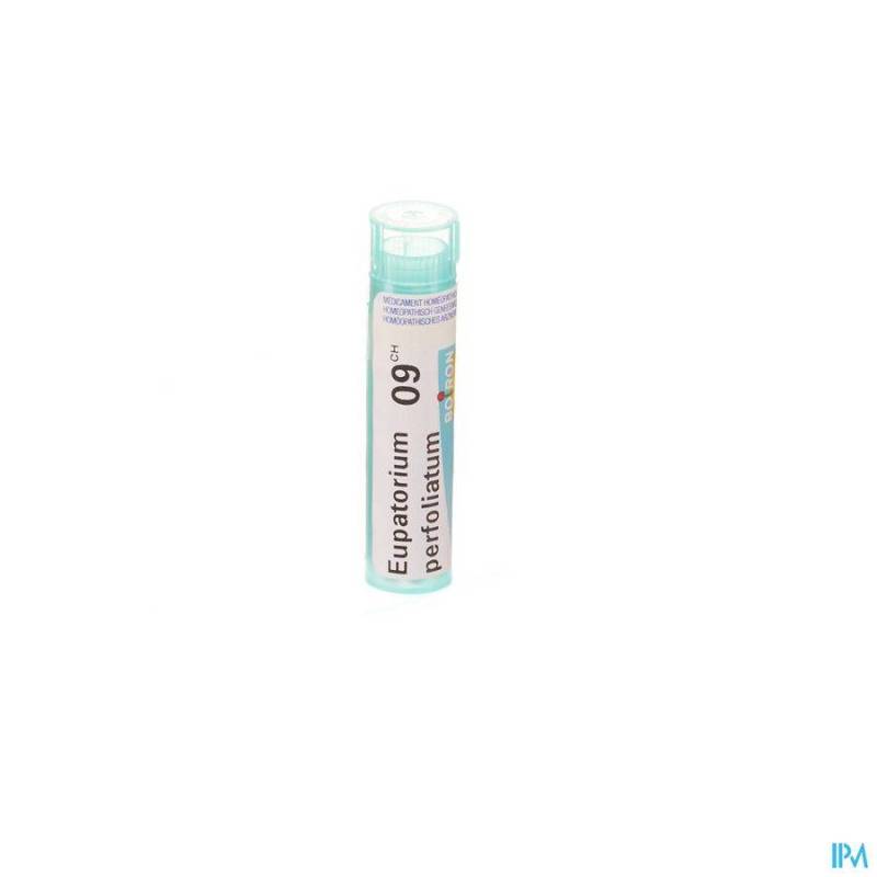 EUPATORIUM PERFOLIATUM 9CH GR 4G BOIRON