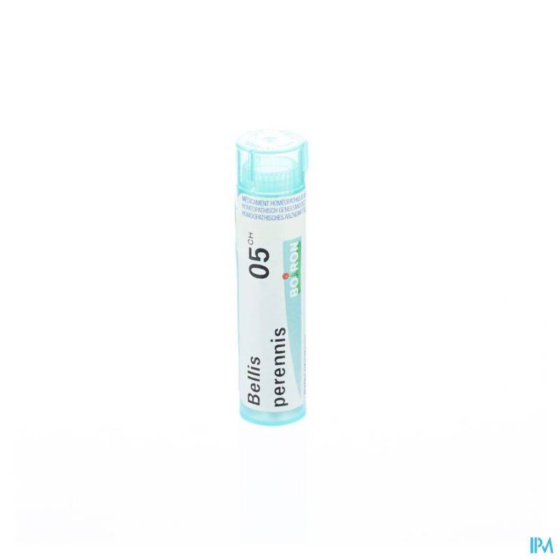 BELLIS PERENNIS 05CH GR 4G BOIRON
