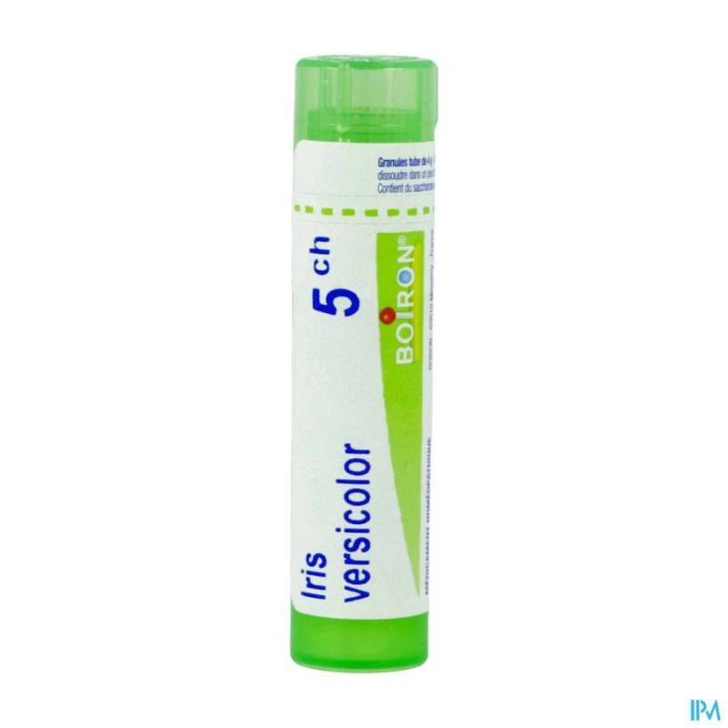 IRIS VERSICOLOR 5CH GR 4G BOIRON