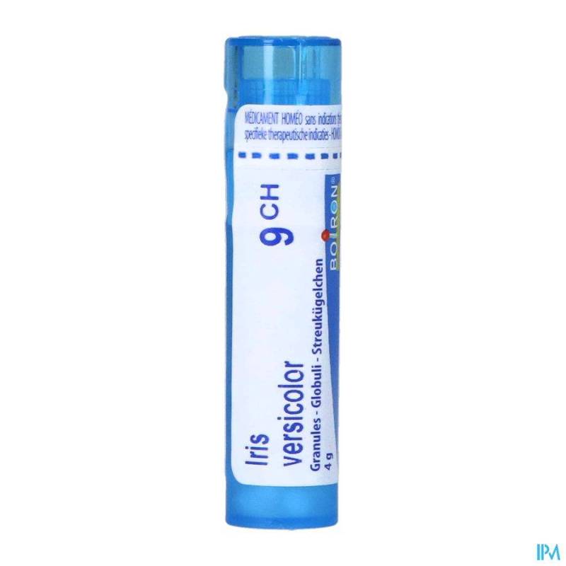 IRIS VERSICOLOR 9CH GR 4G BOIRON