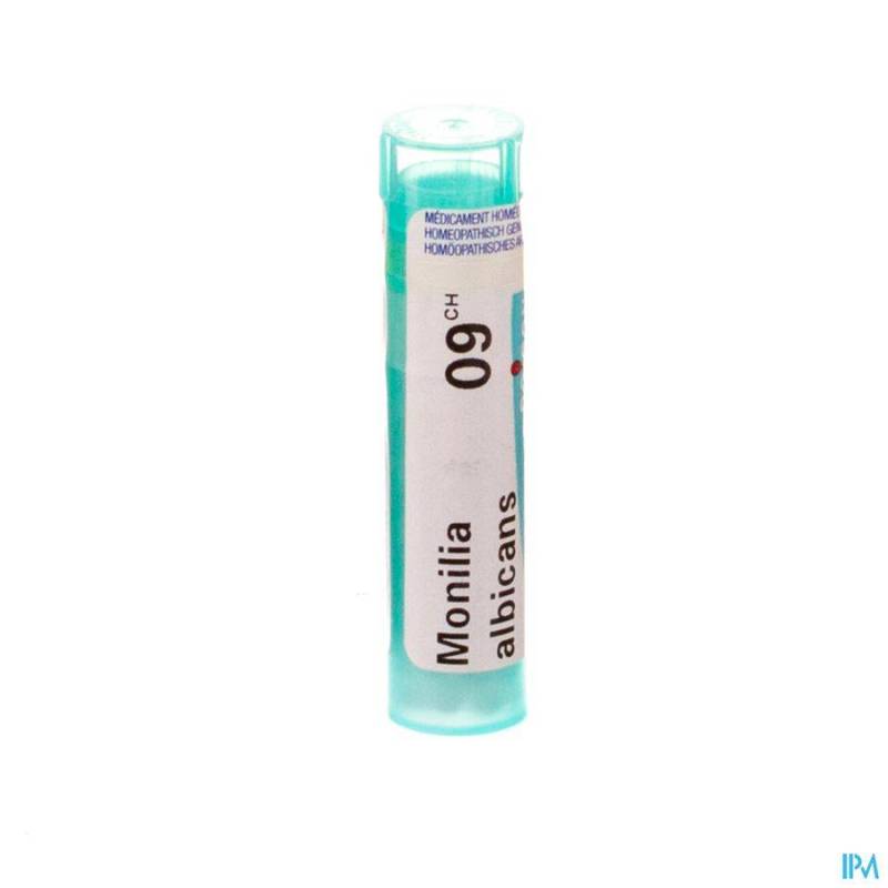 MONILIA ALBICANS 9CH GR 4G BOIRON