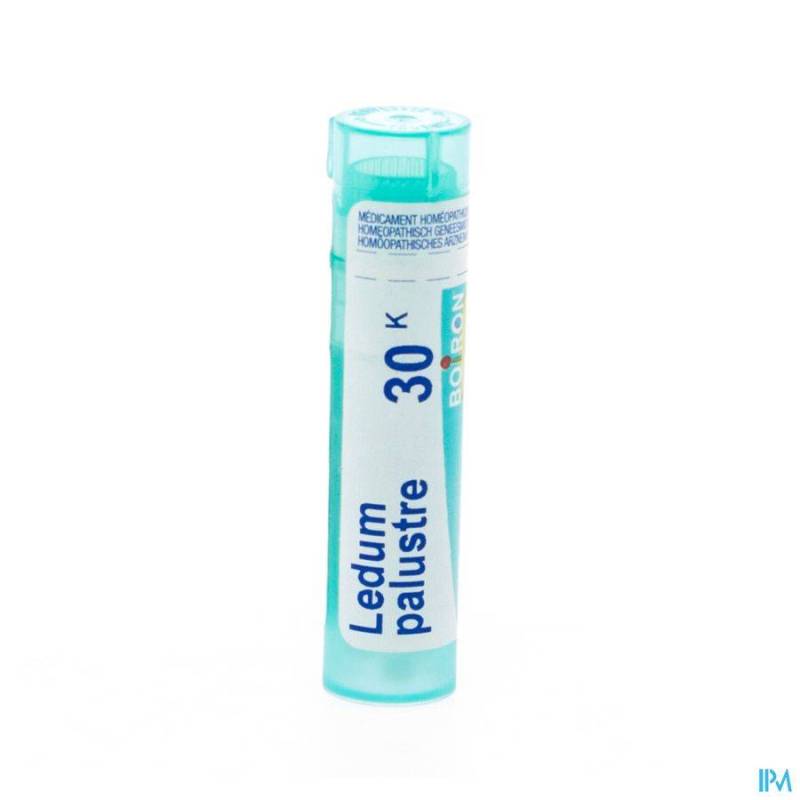 LEDUM PALUSTRE 30K GR 4G BOIRON
