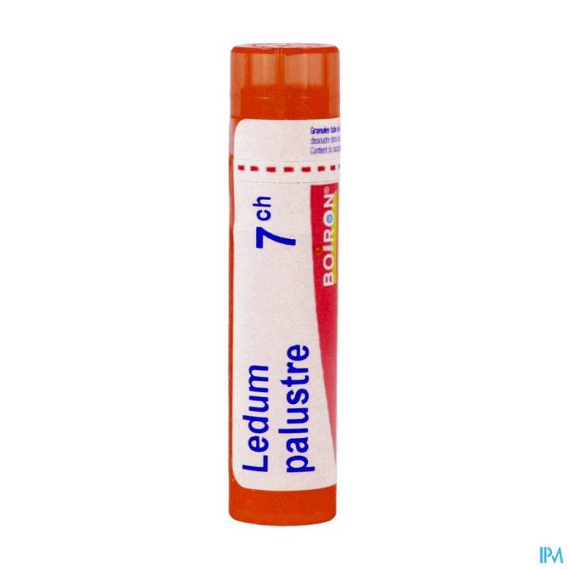 Ledum Palustre 7ch Gr 4g Boiron