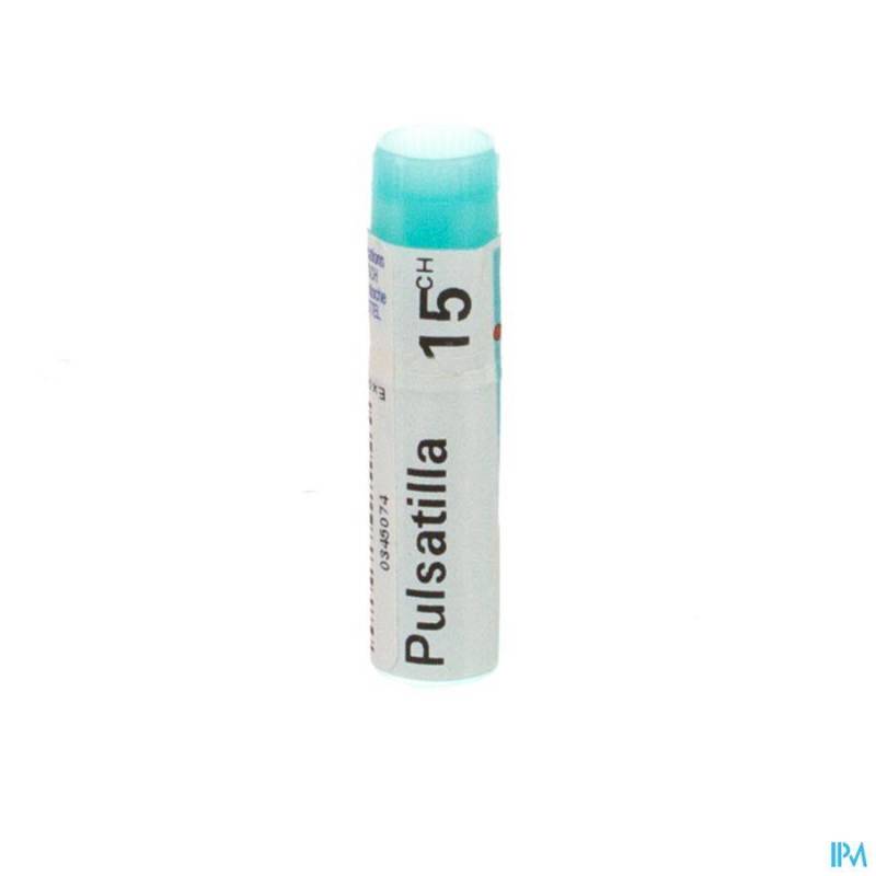 PULSATILLA 15CH GL BOIRON