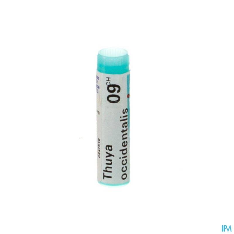 THUYA OCCIDENTALIS 9CH GL BOIRON
