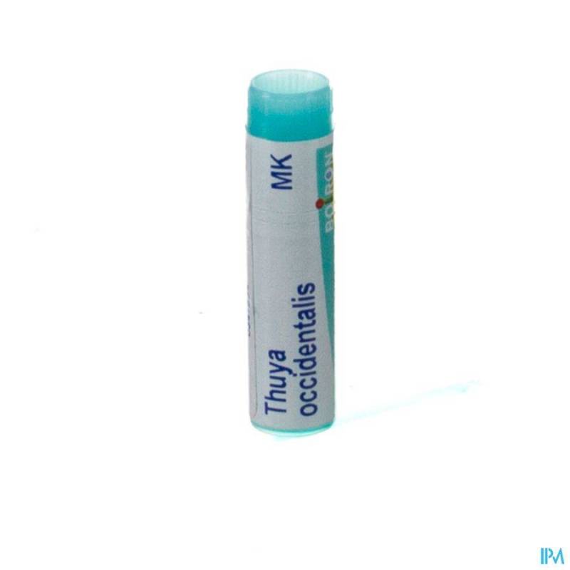 THUYA OCCIDENTALIS MK GL BOIRON
