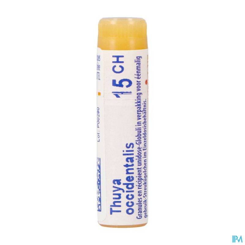 THUYA OCCIDENTALIS 15CH GL BOIRON