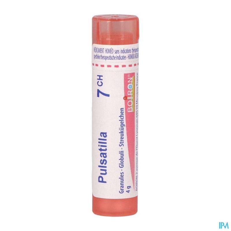 PULSATILLA 7CH GR 4G BOIRON