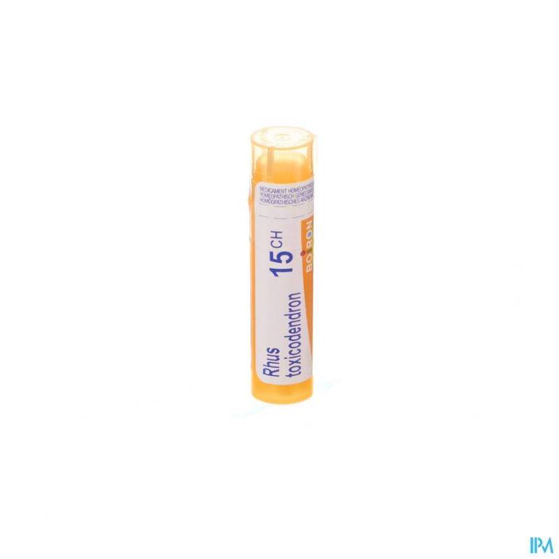 RHUS TOXICODENDRON 15CH GR 4G BOIRON