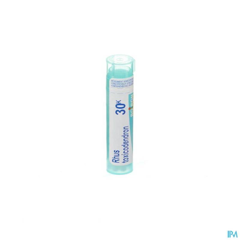 RHUS TOXICODENDRON 30K GR 4G BOIRON