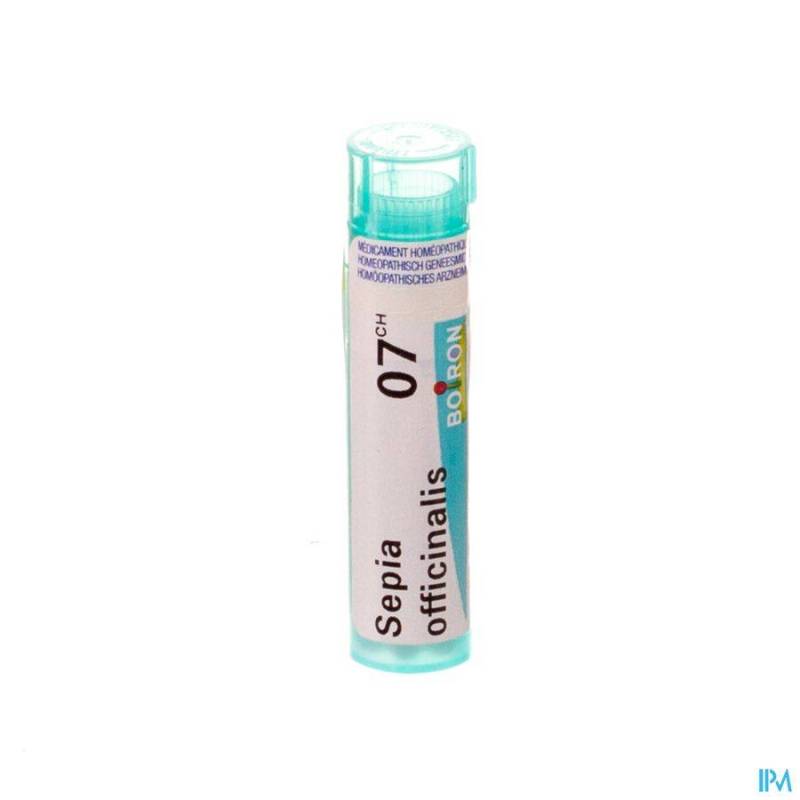 SEPIA OFFICINALIS 7CH GR 4G BOIRON