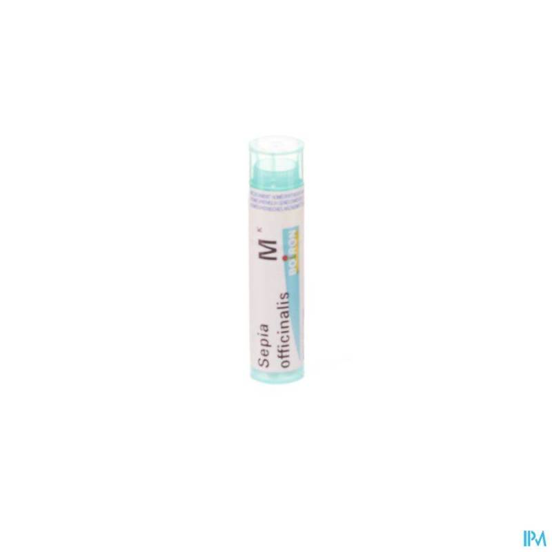 SEPIA OFFICINALIS MK GR 4G BOIRON