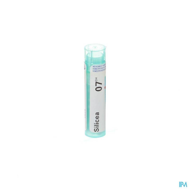 SILICEA 7CH GR 4G BOIRON