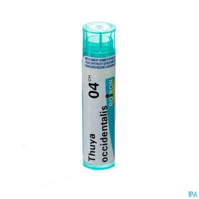 THUYA OCCIDENTALIS 4CH GR 4G BOIRON