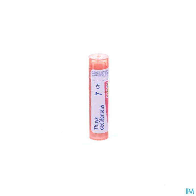 THUYA OCCIDENTALIS 7CH GR 4G BOIRON