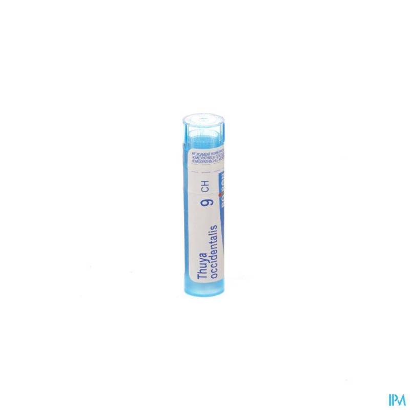 THUYA OCCIDENTALIS 9CH GR 4G BOIRON