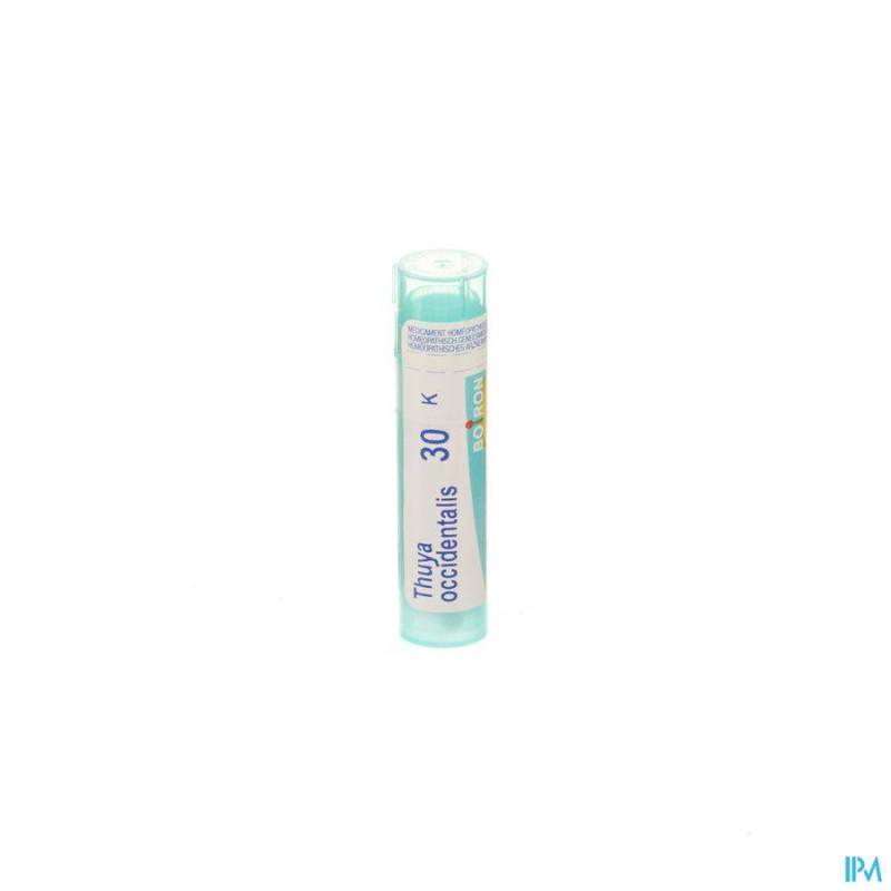 THUYA OCCIDENTALIS 30K GR 4G BOIRON