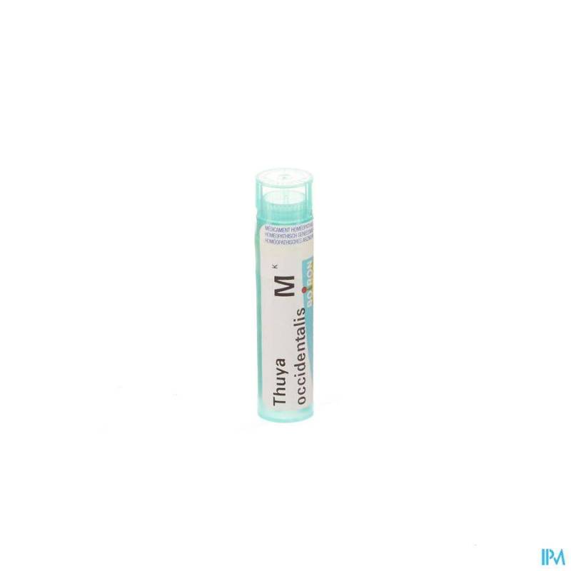 THUYA OCCIDENTALIS MK GR 4G BOIRON