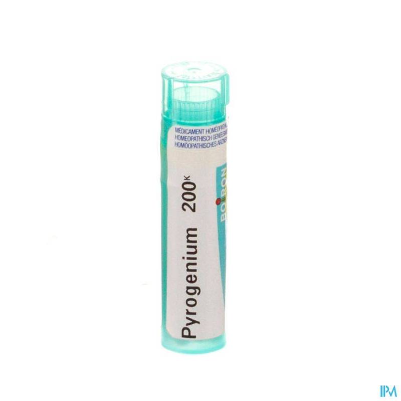 PYROGENIUM 200K GR 4G BOIRON