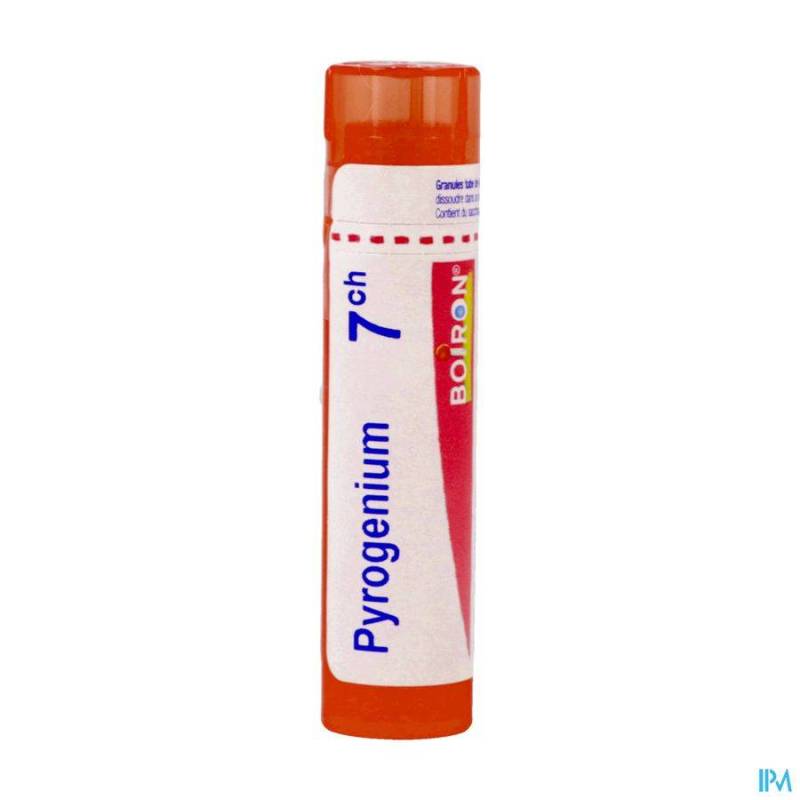 PYROGENIUM 7CH GR 4G BOIRON