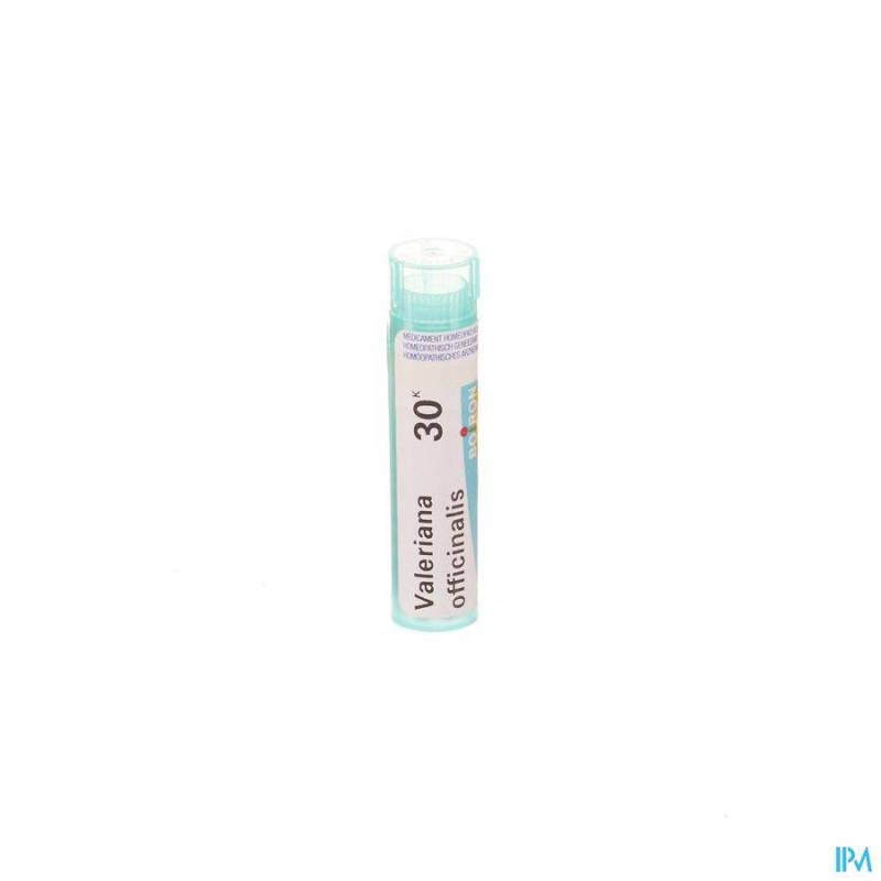 VALERIANA OFFICINALIS 30K GR 4G BOIRON