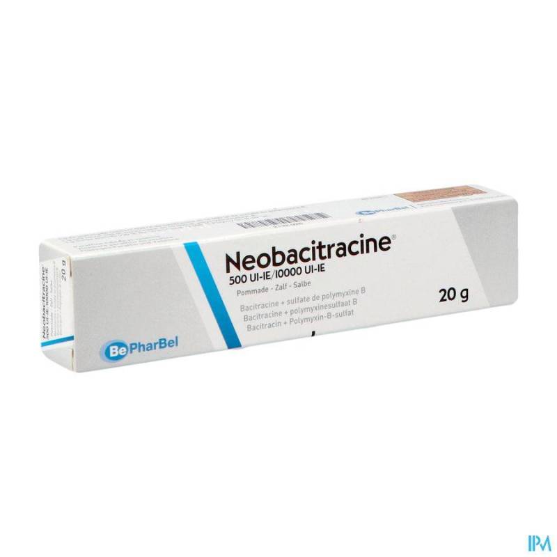 NEOBACITRACINE NF POMM. DERM. 20 G