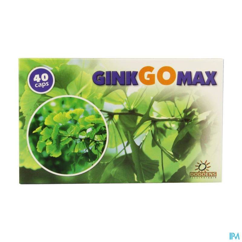 GINKGOMAX CAPS 40