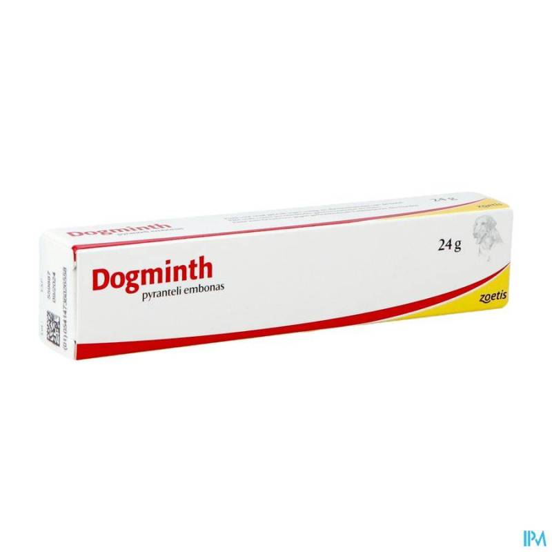 DOGMINTH PATE PASTA VETER 24 G