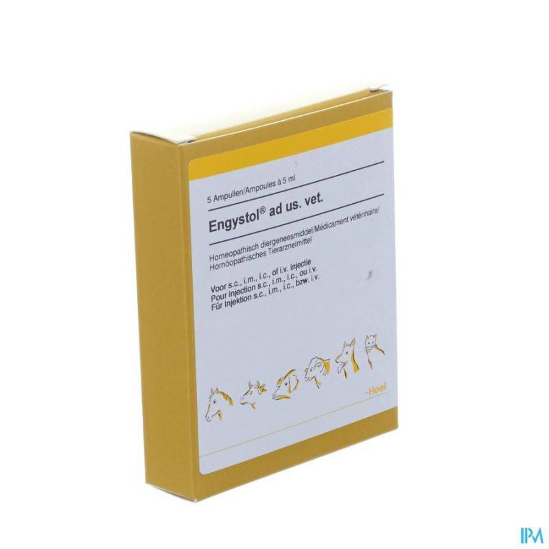 Engystol N Ad Us.vet Amp 5x5,0ml