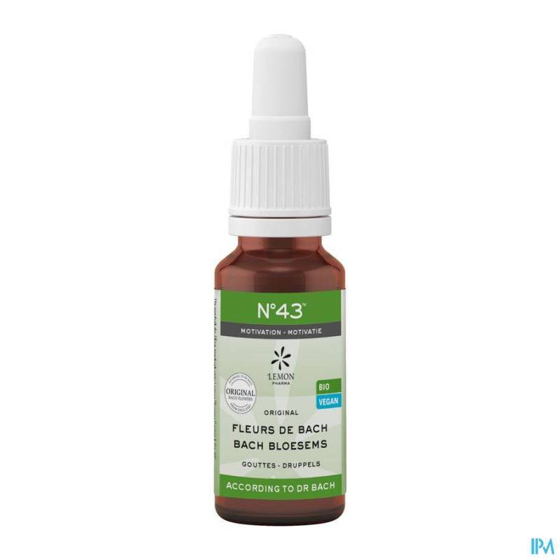 Bachbloesem Bio N43 Druppels Motivatie 20ml