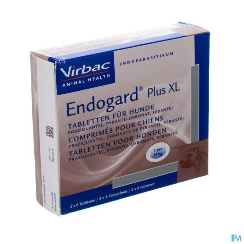 ENDOGARD PLUS XL CHIEN COMP 12