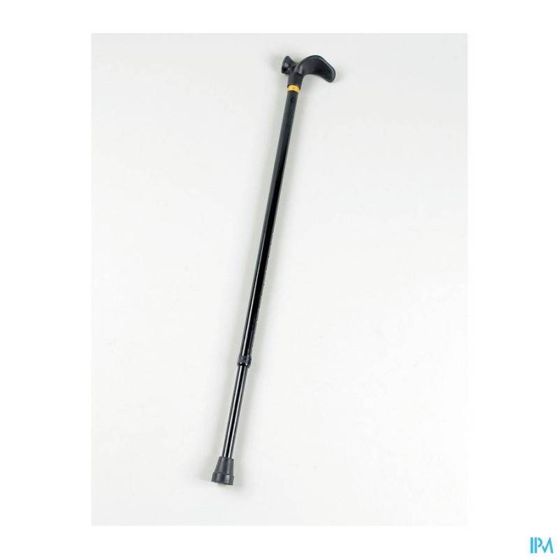 Wandelstok Palm Grip Rechts Advys