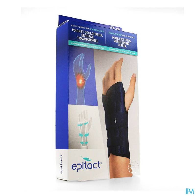 EPITACT POLS/HANDSPALK LINKS L 1 ST