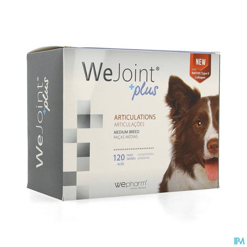WEJOINT PLUS MEDIUM BREED TABL 4X30